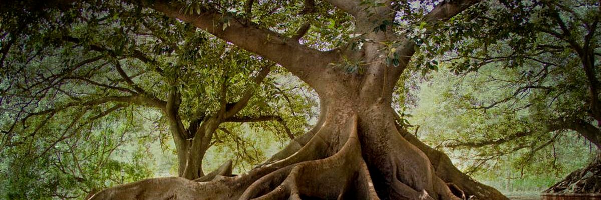 travesuralada's profile banner image