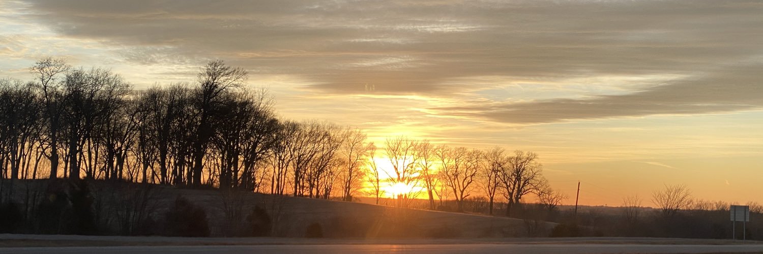 Angela Shrieves banner