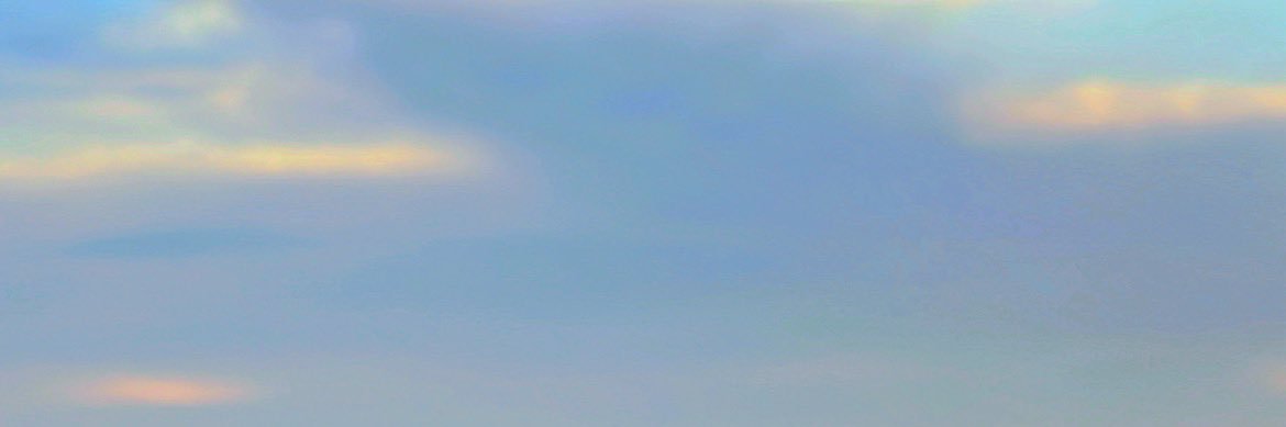 Georgia Morgan banner