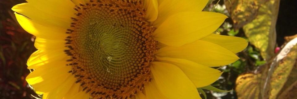 andesstereo's profile banner image