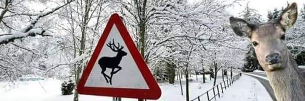 matleroux Profile Banner