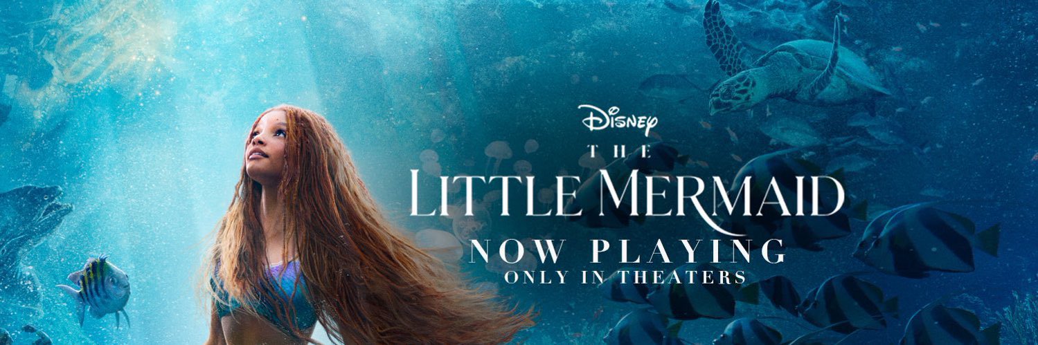Lislittlestory's profile banner image