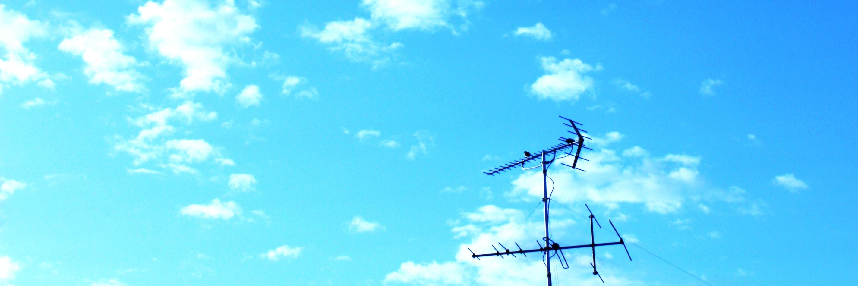 haaal_'s profile banner image