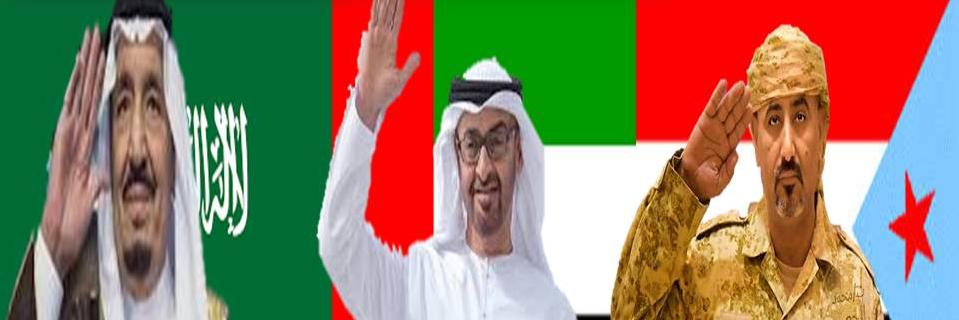 ADEN_SAT's profile banner image