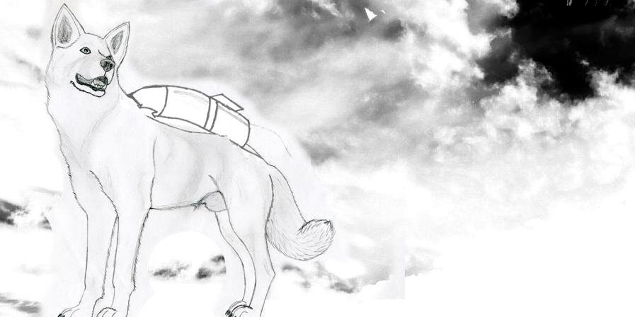 9_bits's profile banner image