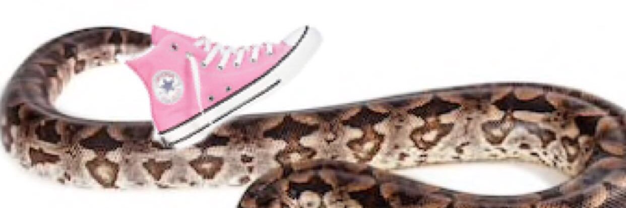 baby jess banner
