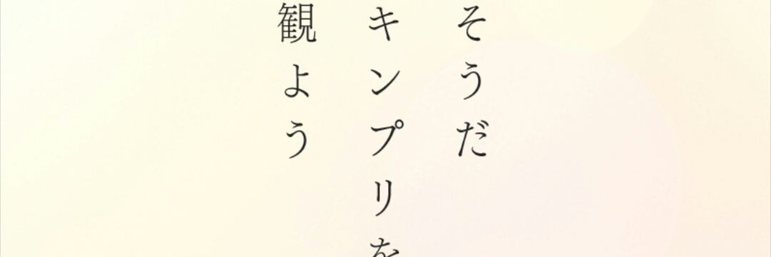 pukekokko's profile banner image