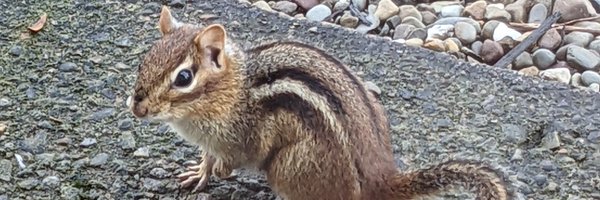 ericmartin128 Profile Banner