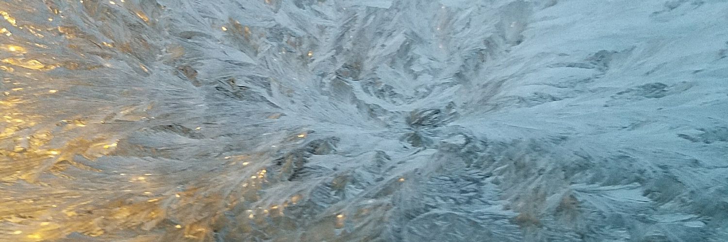 gmgfishman's profile banner image