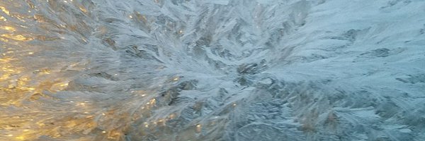 gmgfishman Profile Banner