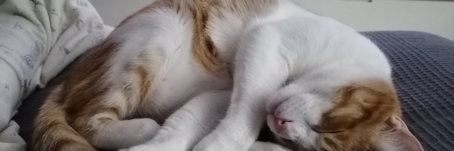 SilviaMarn's profile banner image