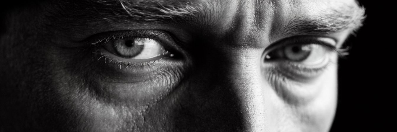 Ludovico banner