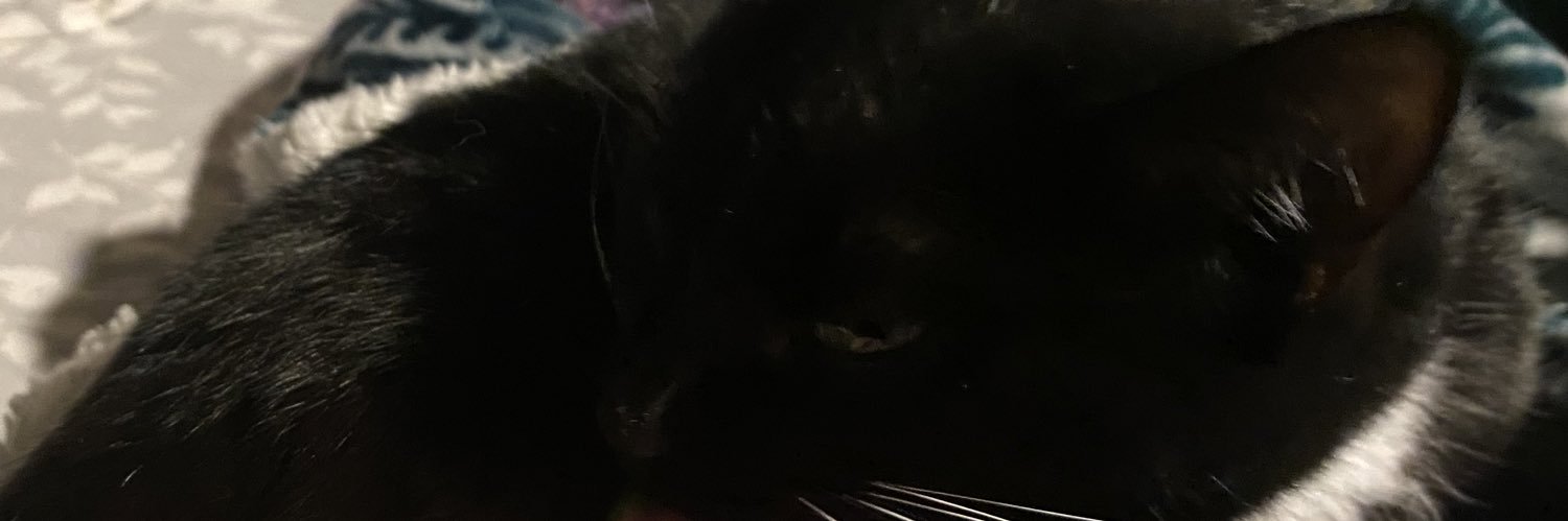 lilhans_'s profile banner image