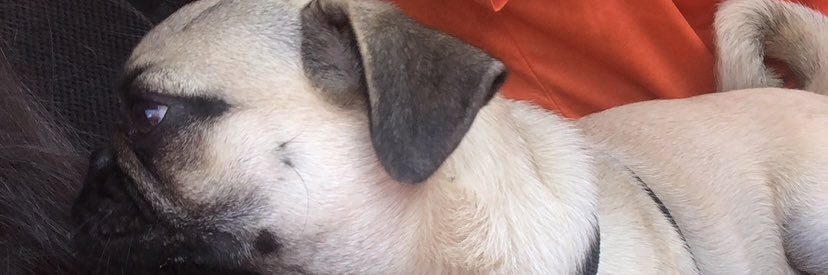 celestejuls's profile banner image