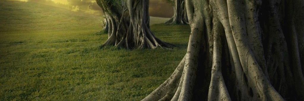 Noelia Alonso banner