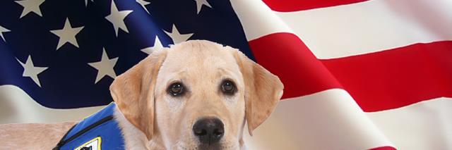 FreedomPupsLA's profile banner image