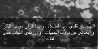 None_11222's profile banner image