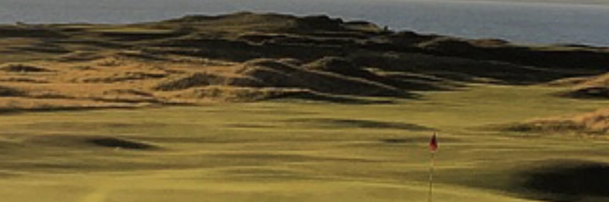 DubaiBC's profile banner image