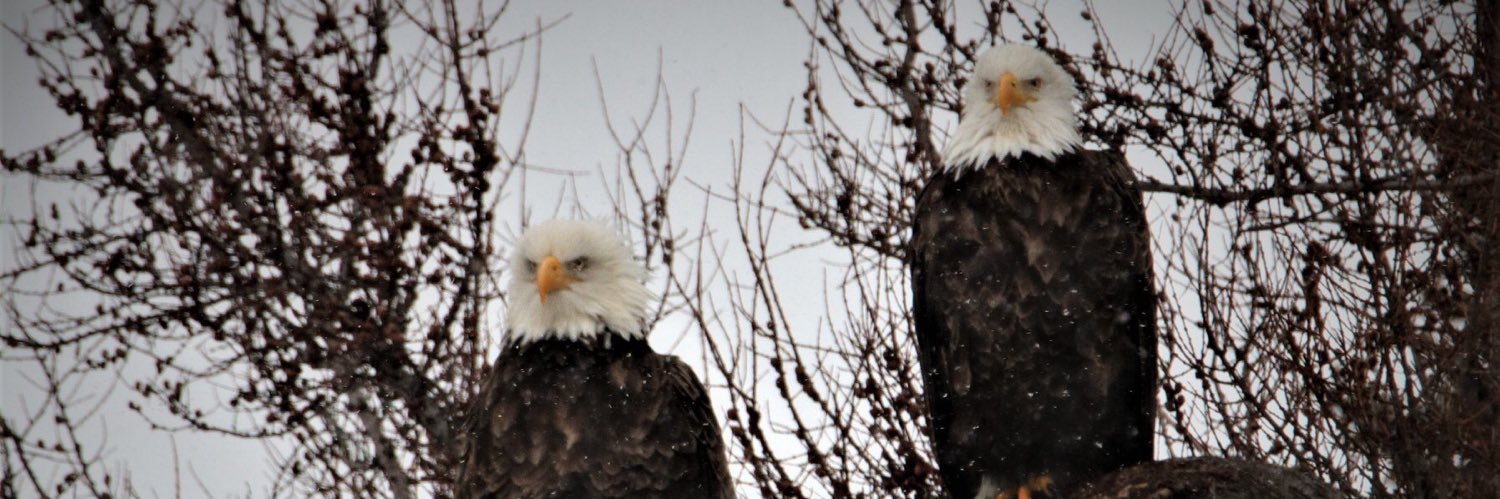 kmaillet71's profile banner image