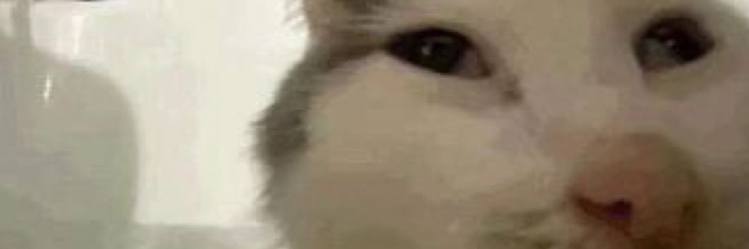 ButterPasser6's profile banner image