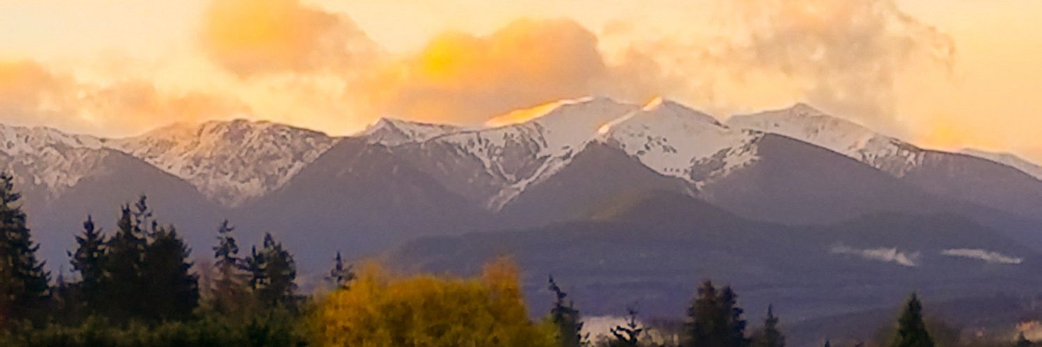 mrkshep's profile banner image