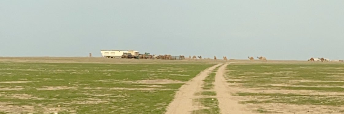 عبدالرحمن ابو فهد banner