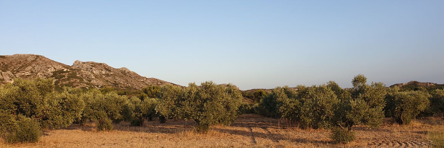 perezvitoria's profile banner image