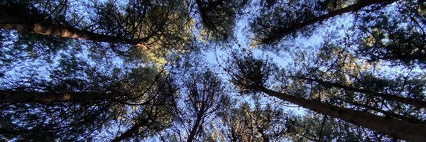 mafsul Profile Banner