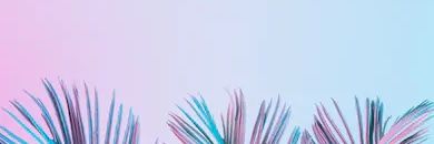 uxmaxed's profile banner image