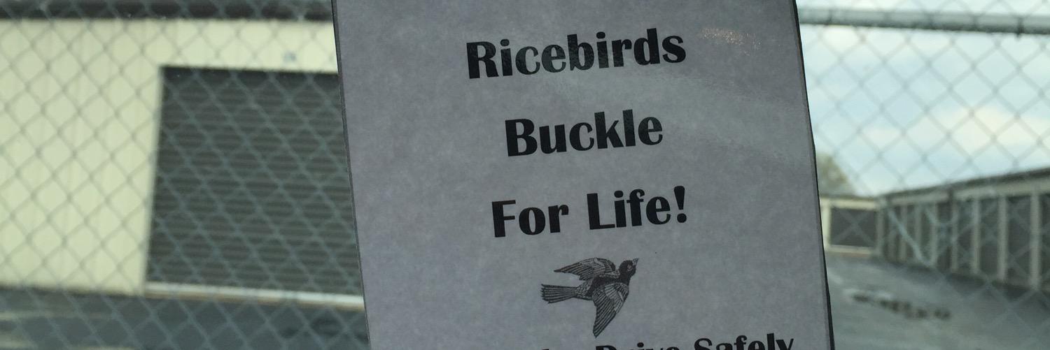 buckledbirds's profile banner image