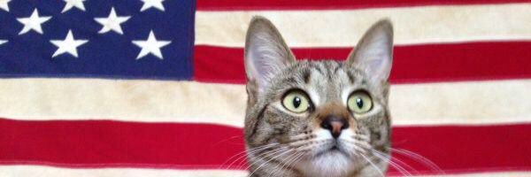 tim_kovach's profile banner image