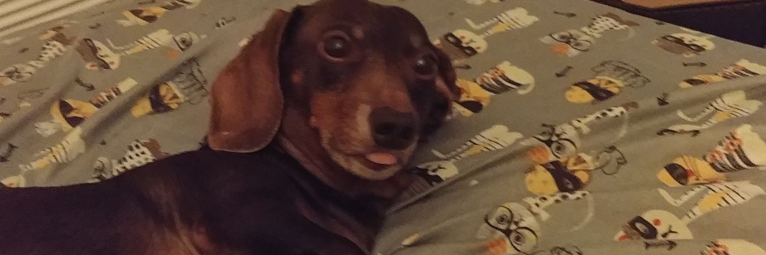 MikePoetCVT's profile banner image