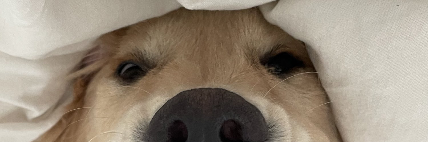 Zach banner