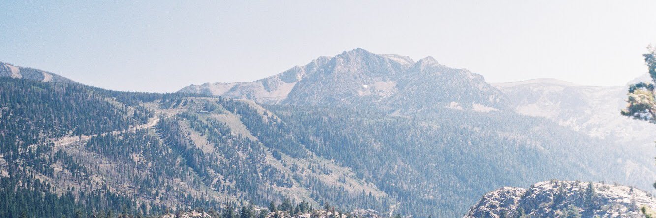 TheLassieBoi's profile banner image