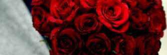 123321xox's profile banner image