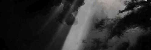 MeoooW_MeoooW's profile banner image