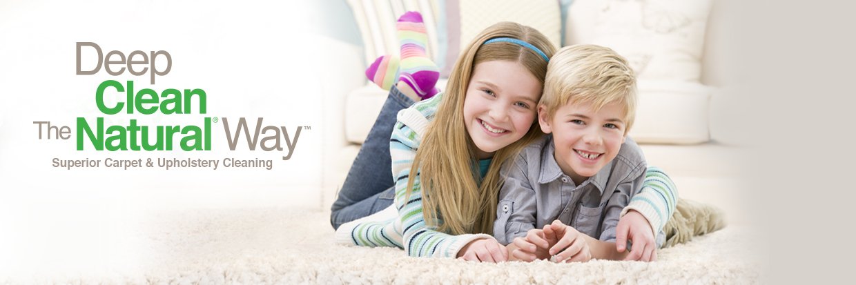 Chem-Dry International banner