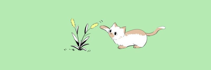 ShoyuSP's profile banner image