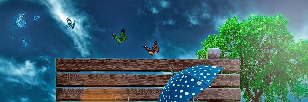 WittrockCrystal's profile banner image