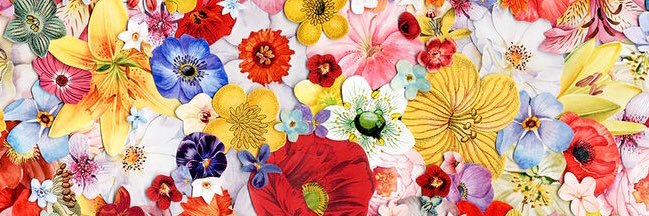 eden_jane's profile banner image