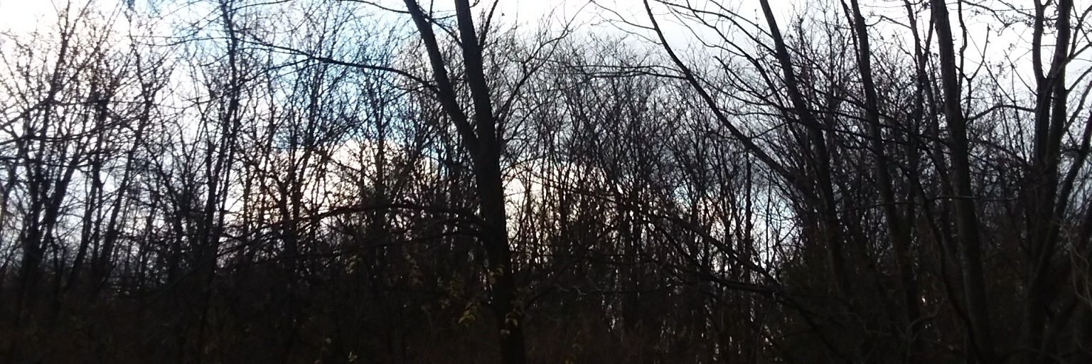 finding_noone13's profile banner image