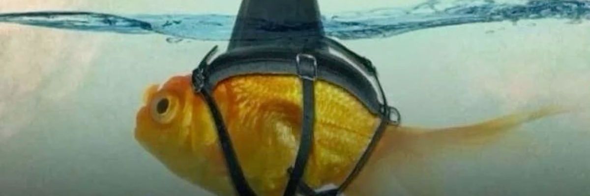 blokh22's profile banner image