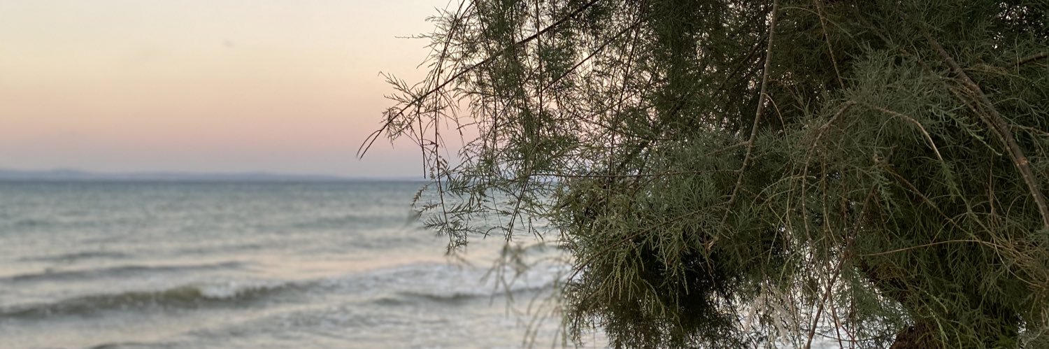 eceemdilaraa's profile banner image