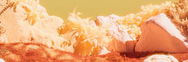 FewMusho's profile banner image