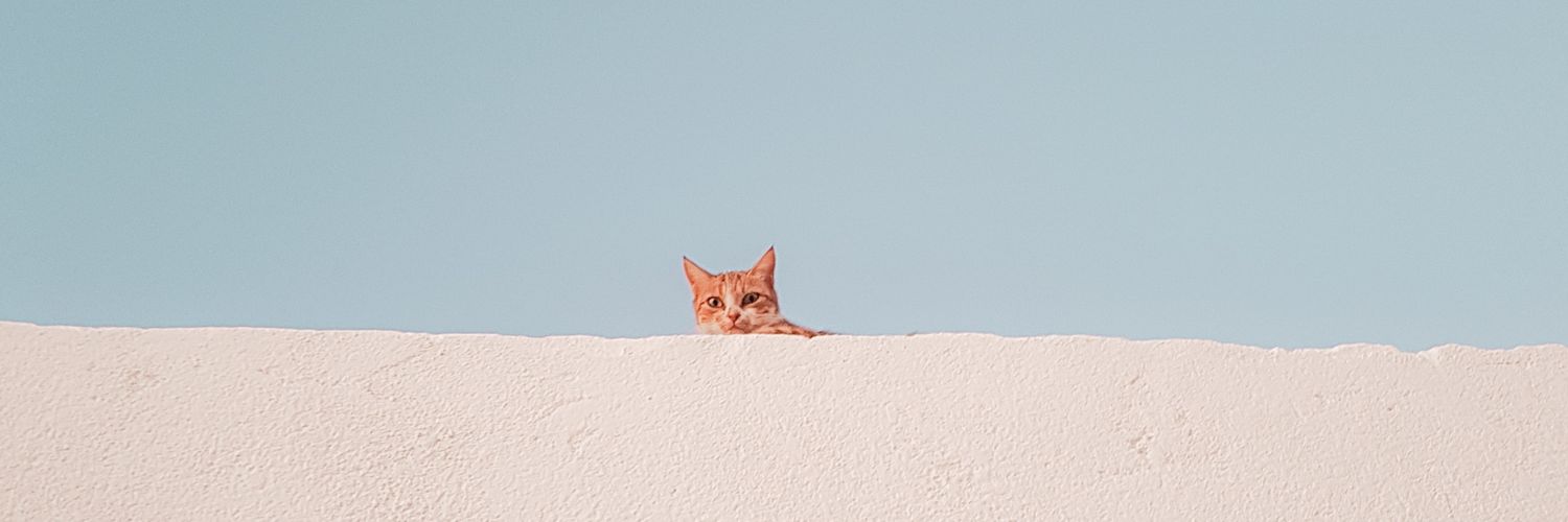 viewfits's profile banner image