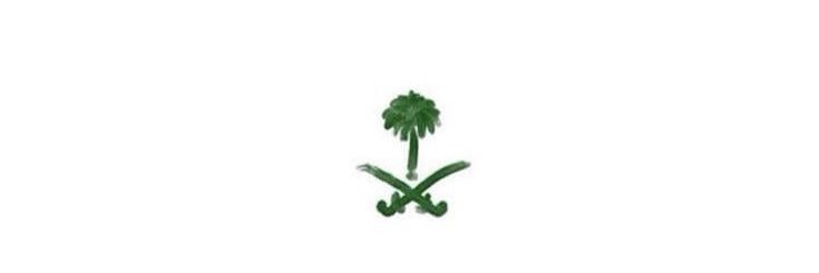 Manar_Alsofiani's profile banner image