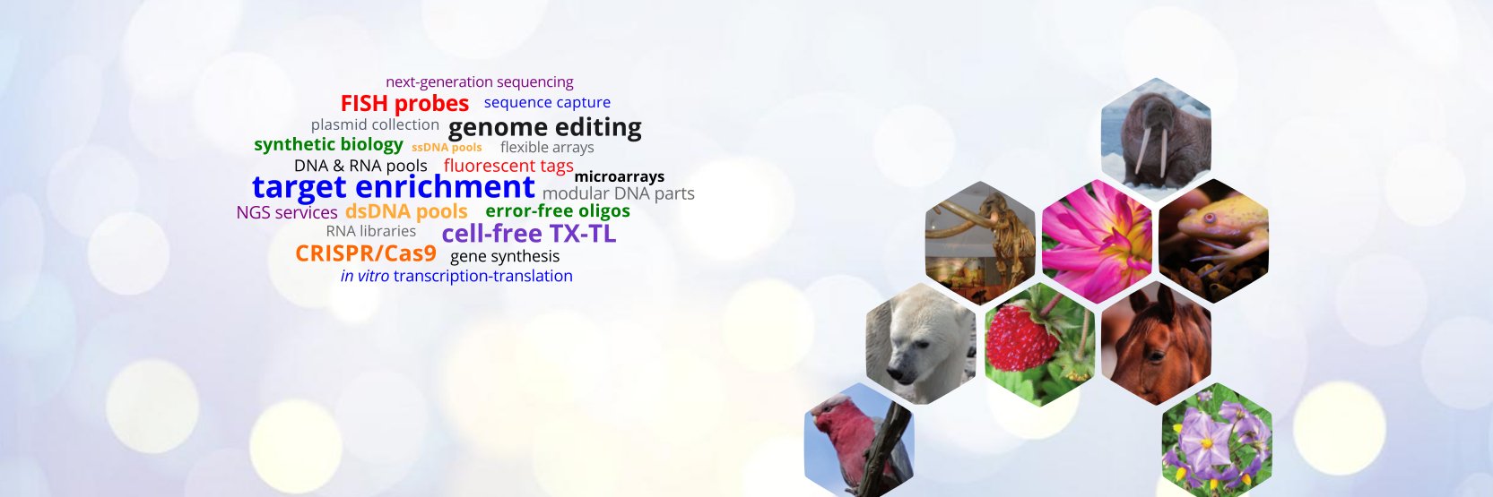 MYcroarray's profile banner image
