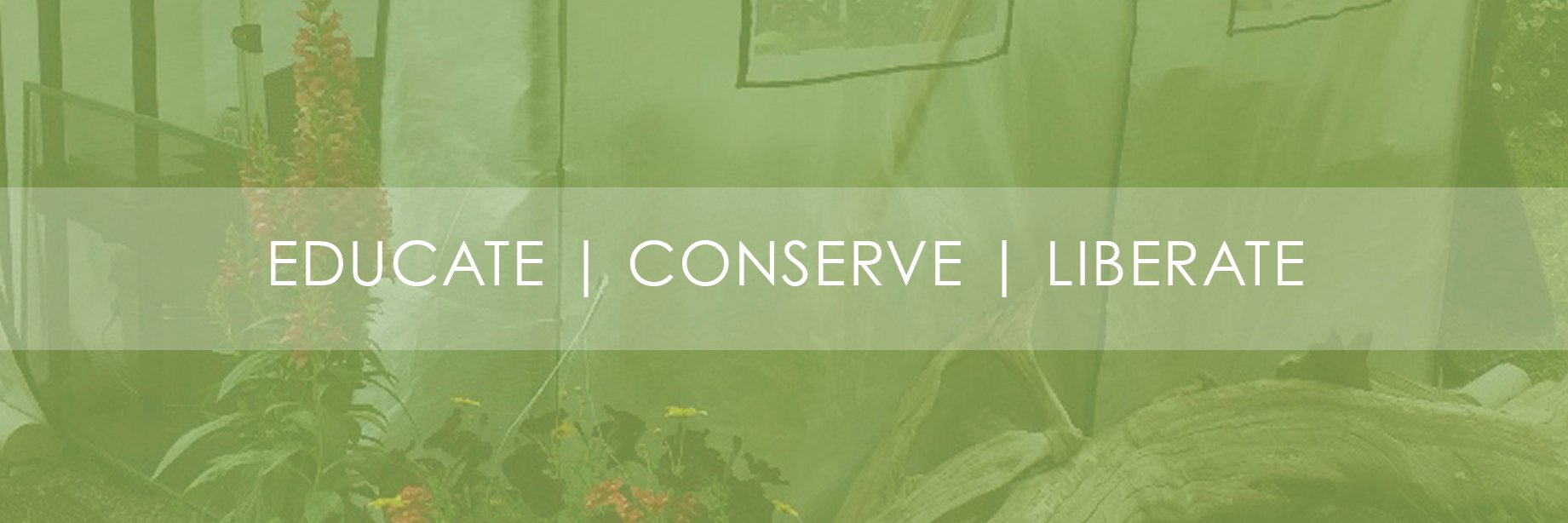 EC4ES's profile banner image