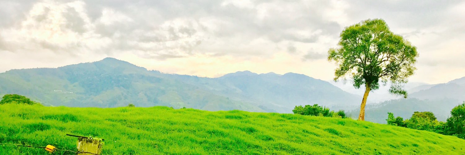 LyleMactweets's profile banner image