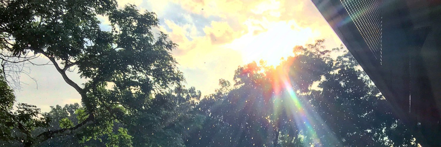 SmilingIdoit's profile banner image